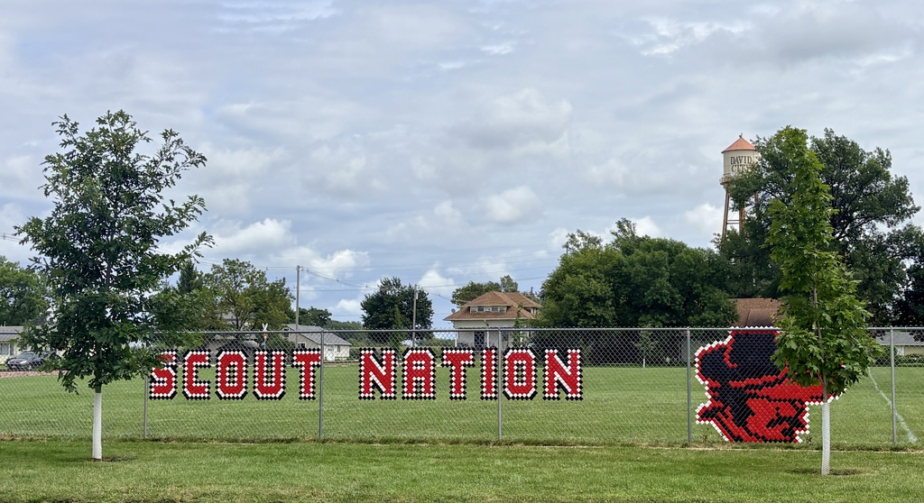 scout nation fence cups and scout head