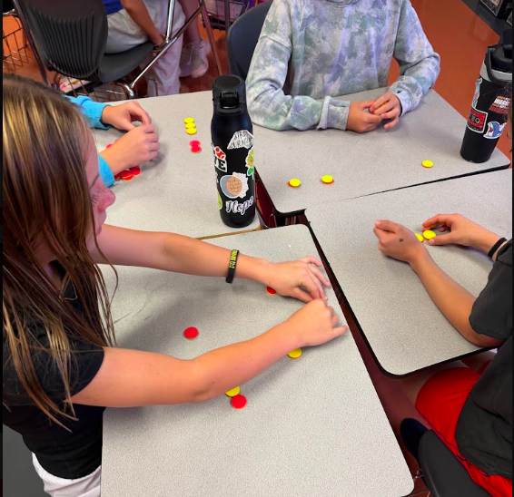 Integer Chips