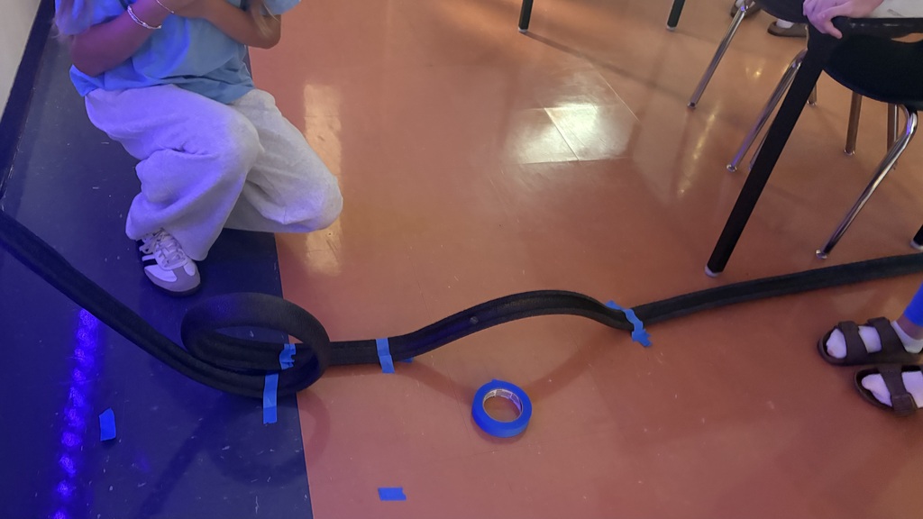 Roller Coaster Lab
