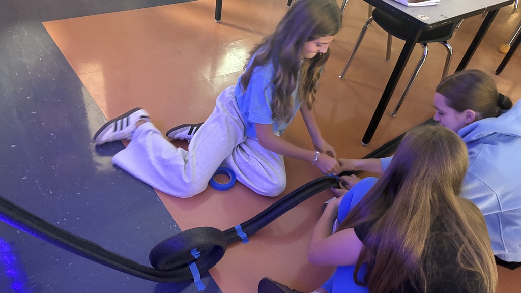 Roller Coaster Lab