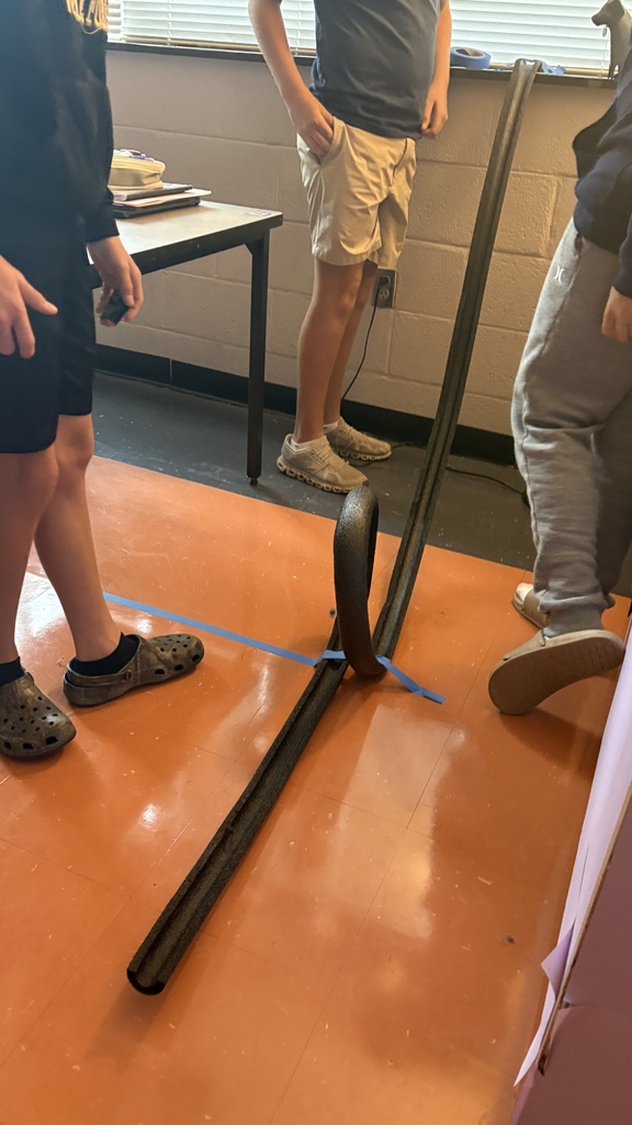Roller Coaster Lab