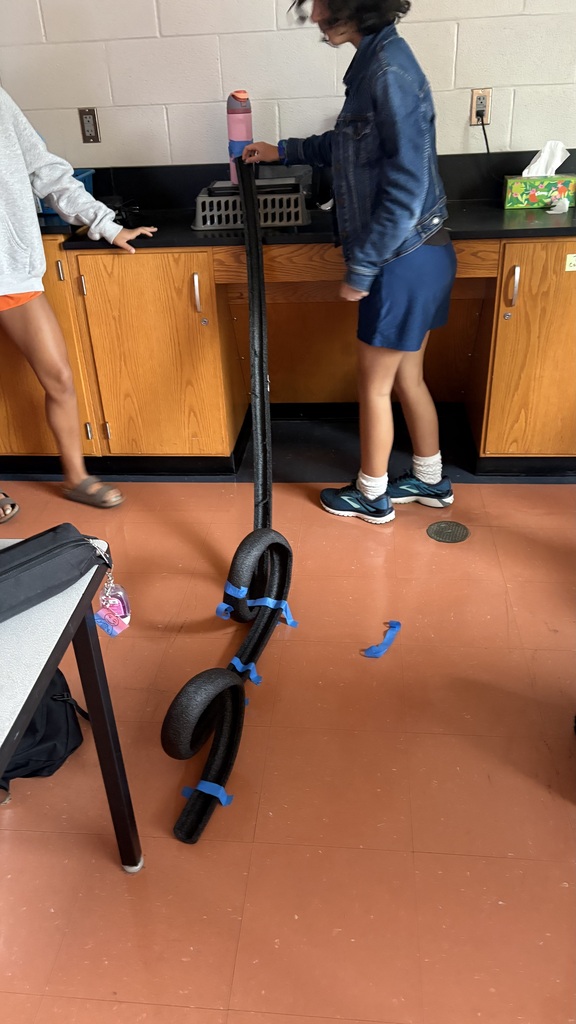 Roller Coaster Lab