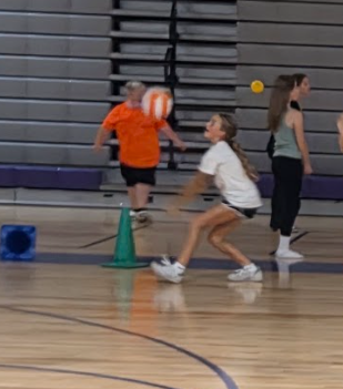Open Gym Volleyball