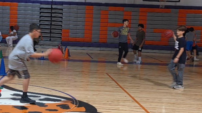 Open Gym Basketball
