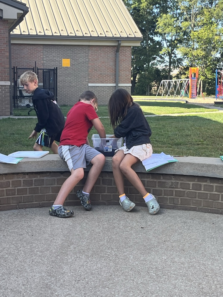 students working on science experiments