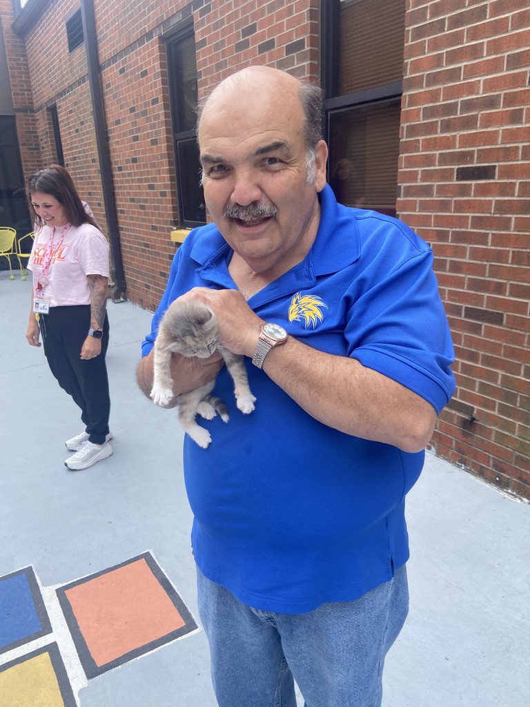 puppies