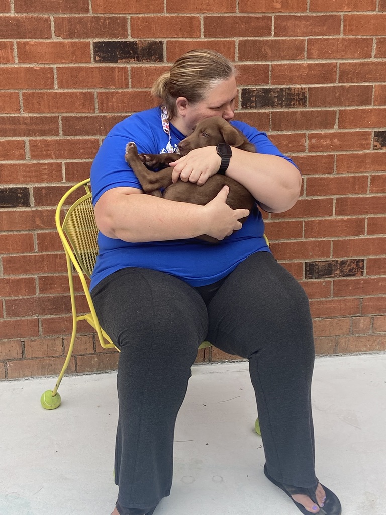 puppies