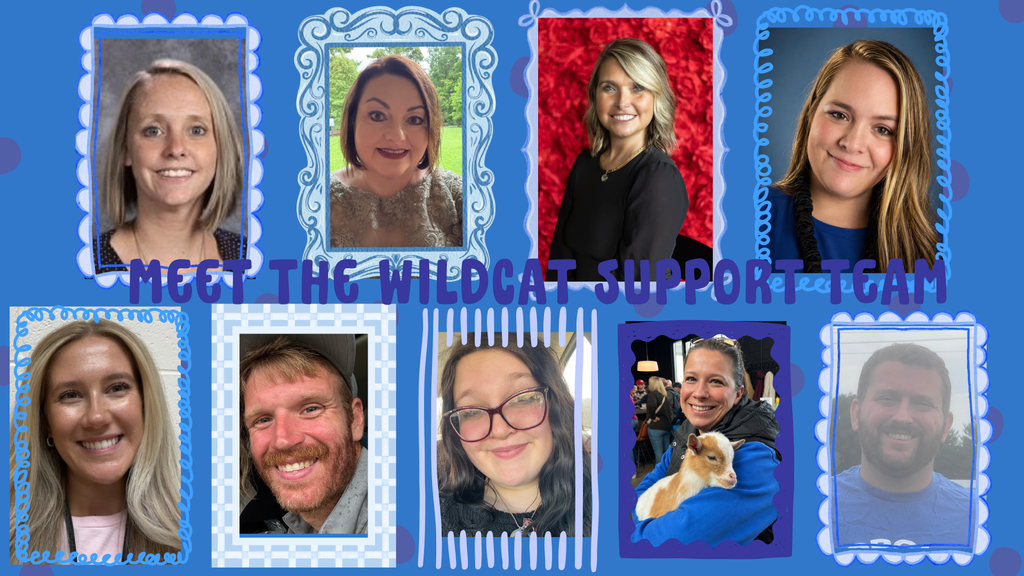 Wildcat Support Team