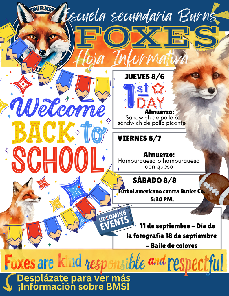 spanish newsletter
