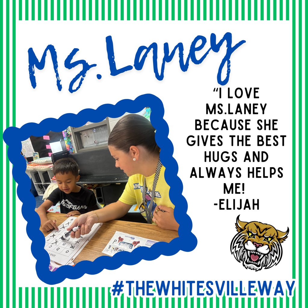 Ms.Laney