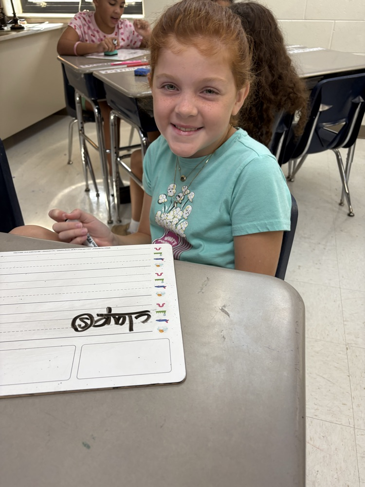 students being problem solvers