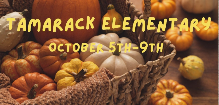 Pumpkins wiht Tamarack Elementary Oct. 5th-9th