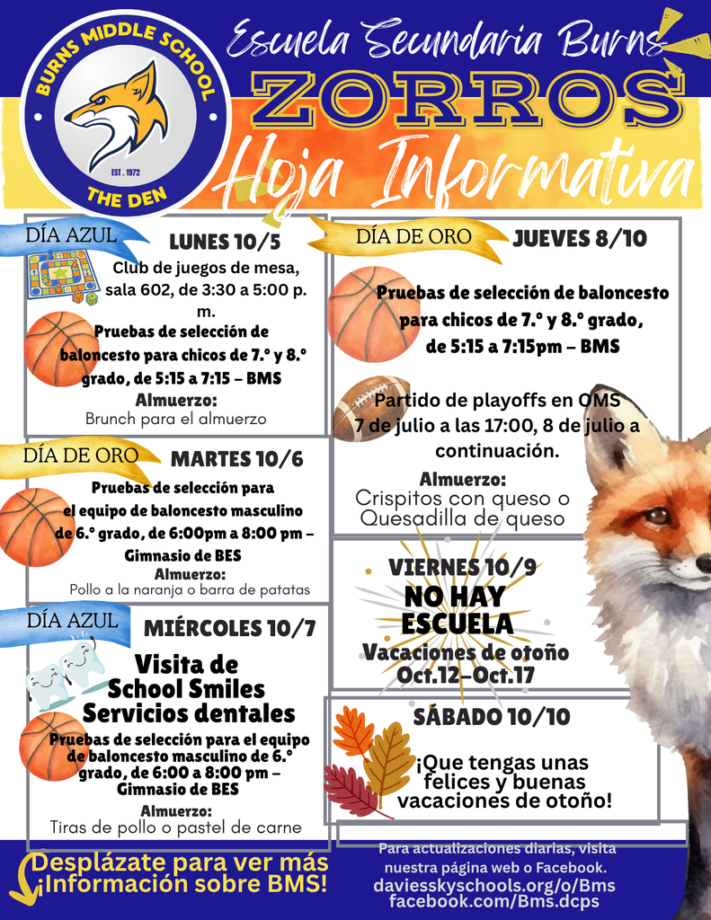 spanish newsletter
