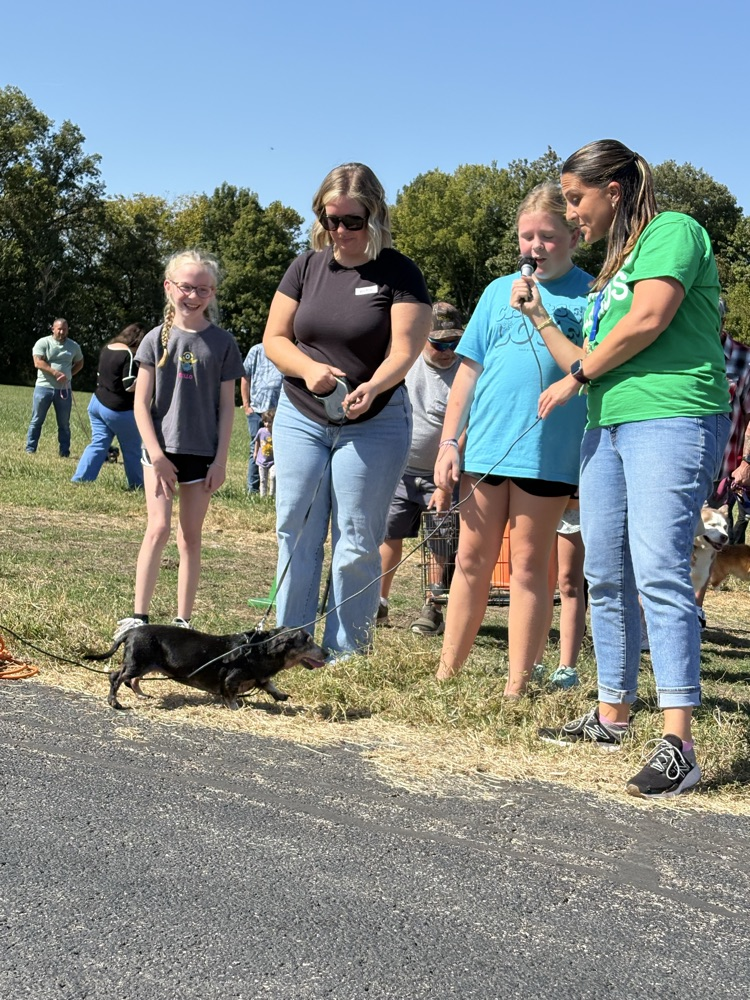 pet parade
