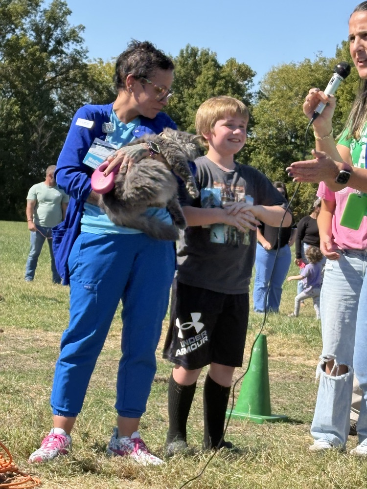pet parade