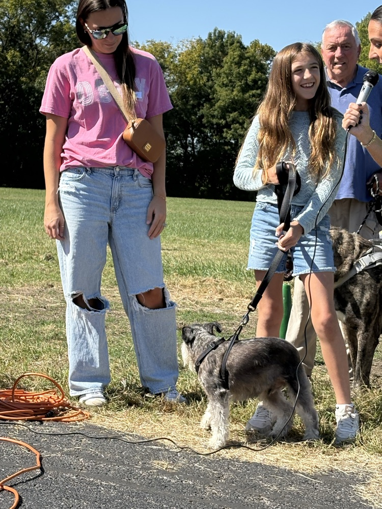 pet parade
