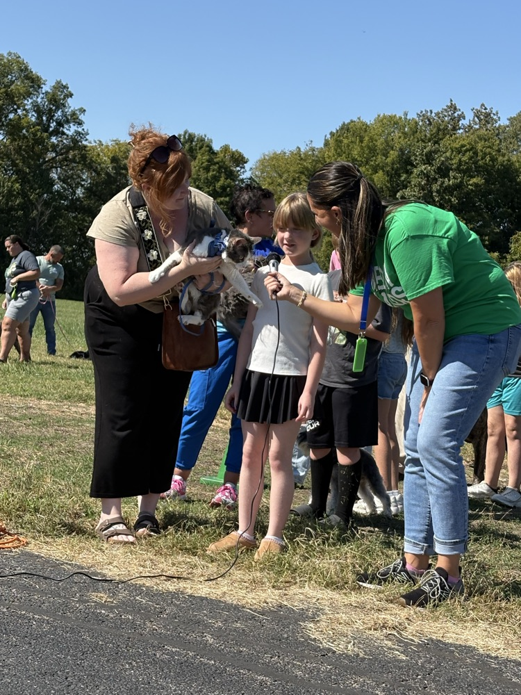 pet parade