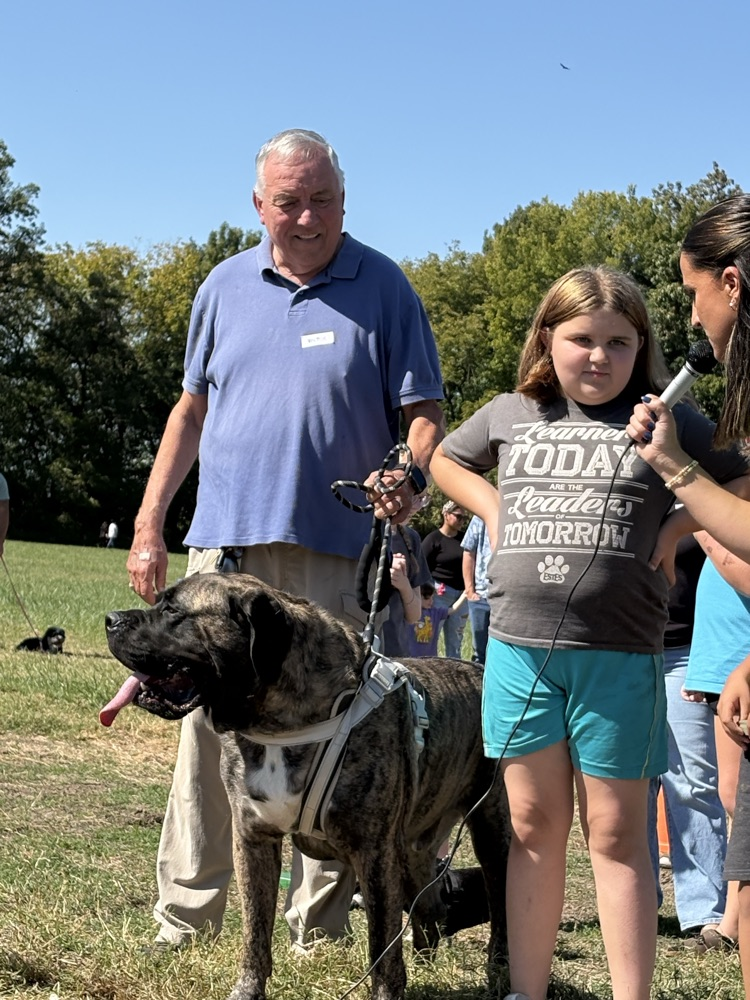 pet parade