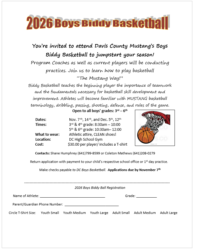 26/27 Biddy Ball Flyer