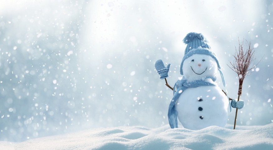 snowman in winter