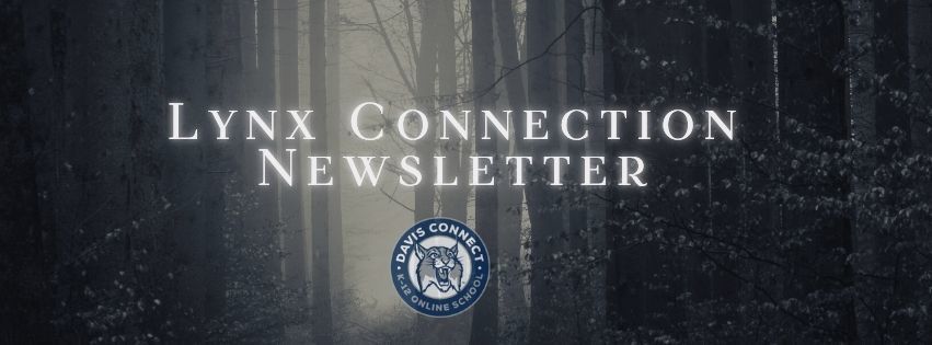 Lynx Connection Newsletter