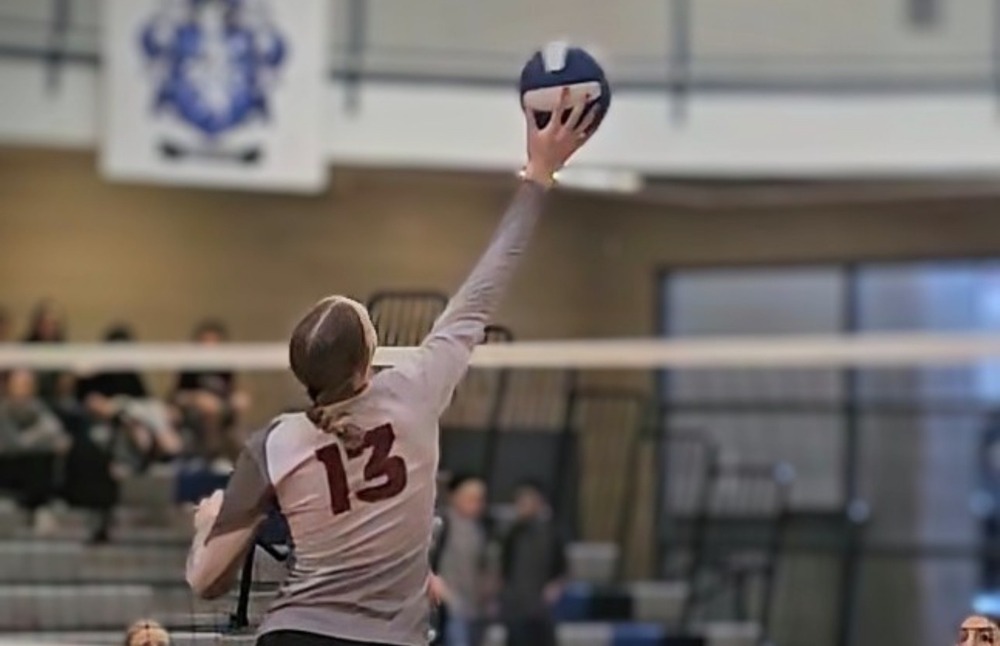 Girl playing volleyball