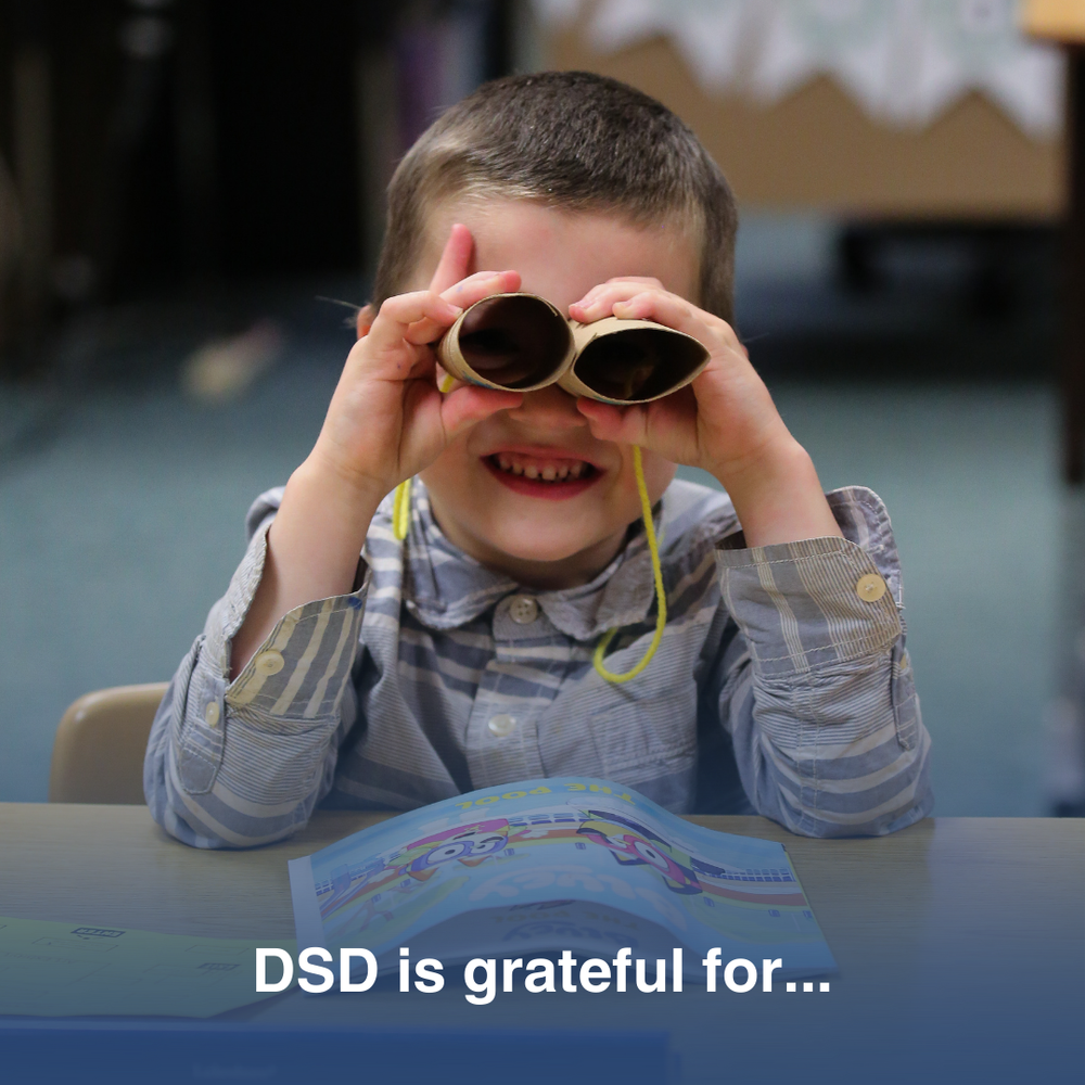 DSD is grateful for...