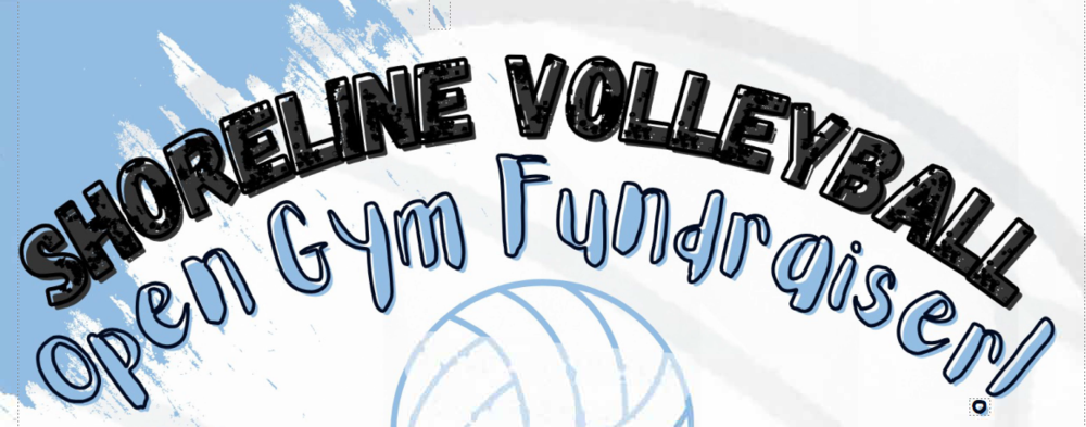 Summer Volleyball Fundraiser