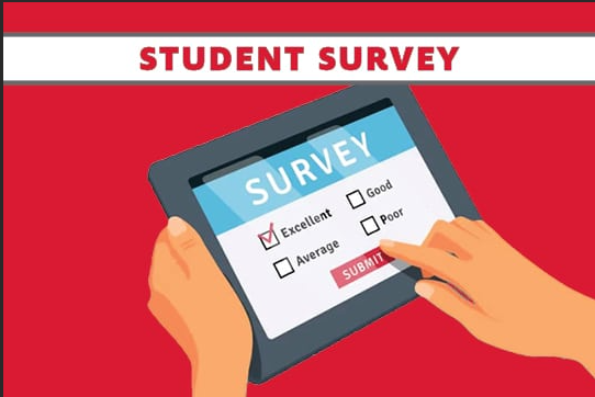 7th grade Student Survey