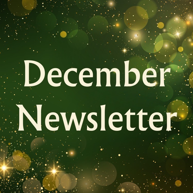 Text “December Newsletter” with sparkles and lights
