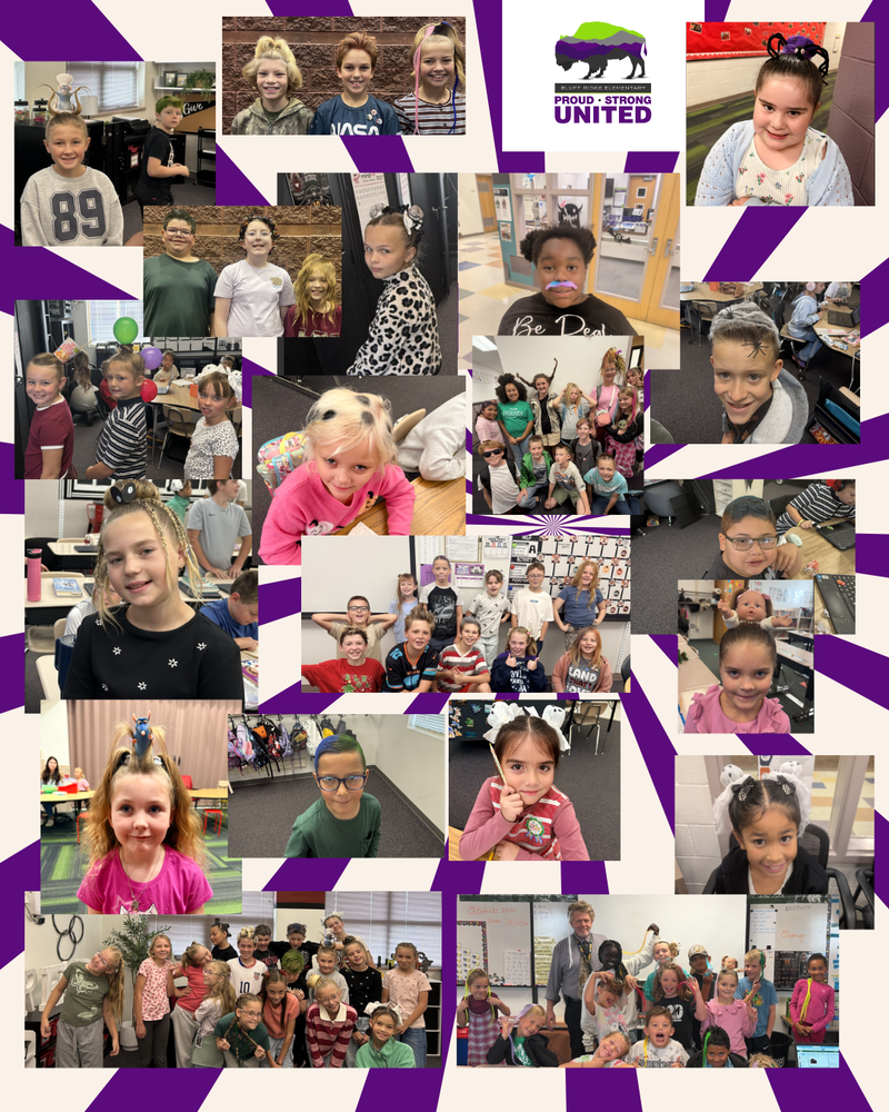 Bluff Ridge Elementary-Proud, Strong, United. Crazy Hair Day! 