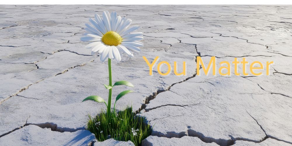 Picture of a flower growing in a cement crack. You Matter