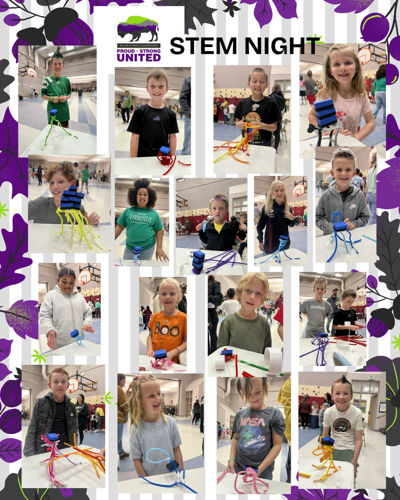 BLUFF RIDGE ELEMENTARY-PROUD, STRONG, UNITED. STEM NIGHT