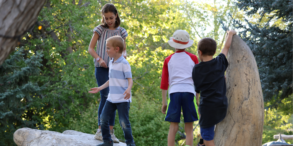 Dino-Mite Night activity