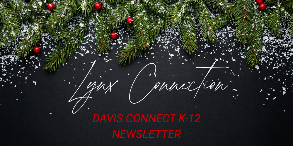 Lynx Connection Newsletter