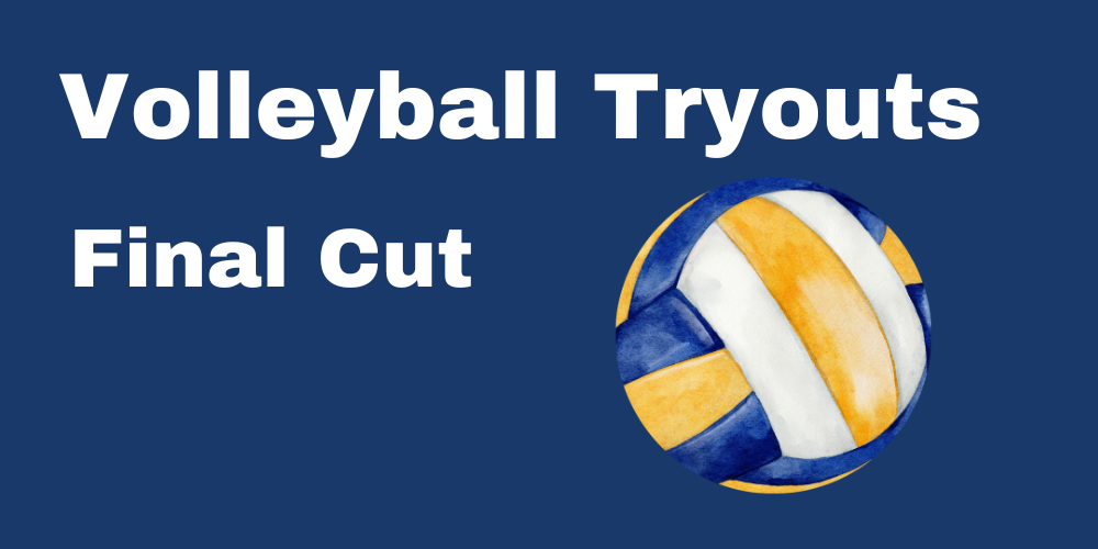 Volleyball Final Cut