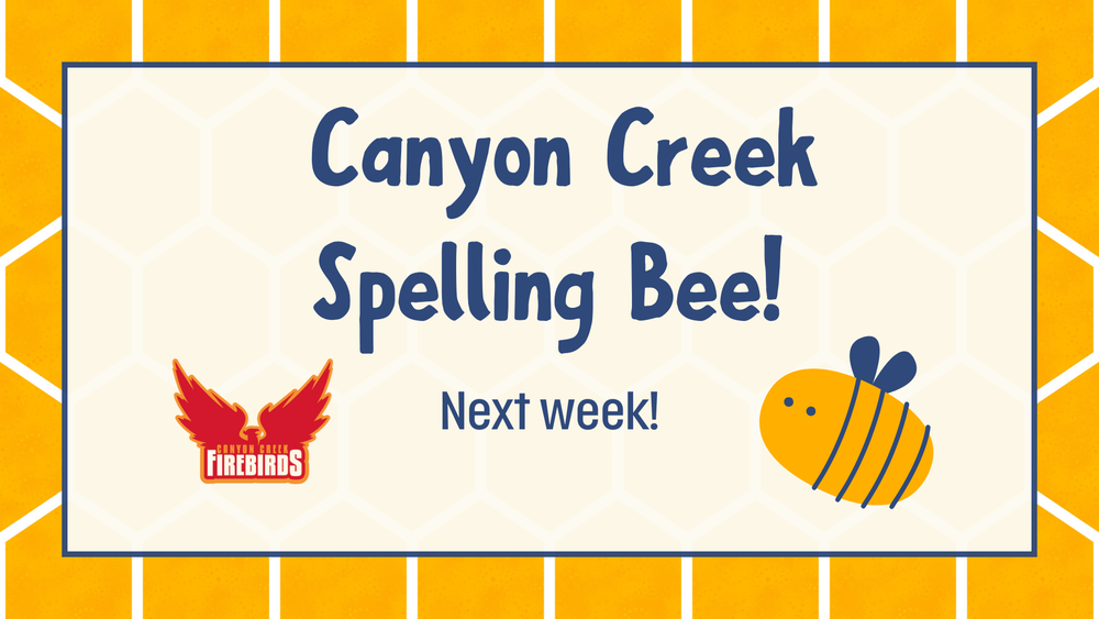 School Spelling Bee competition 2026