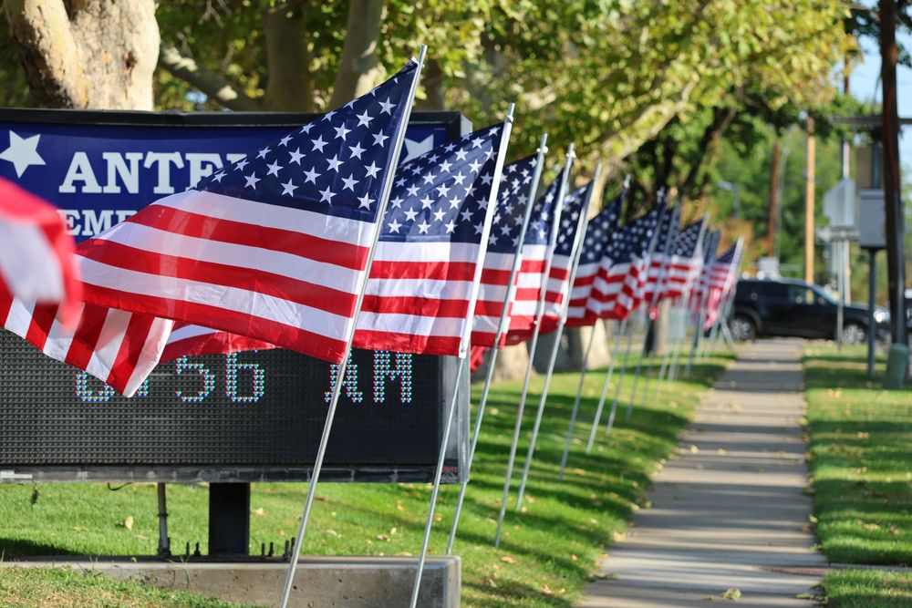 Row of flags