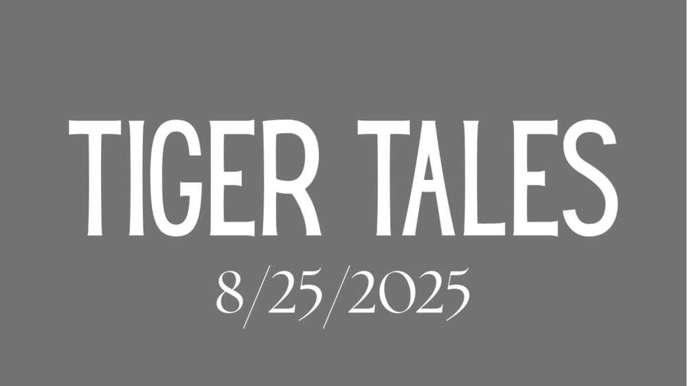 Tiger Tales 8.25.25