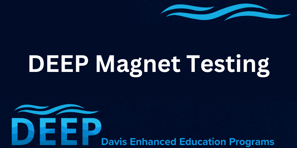 DEEP Magnet Testing