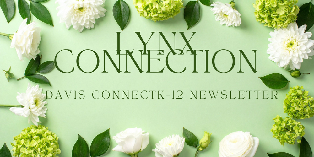 Lynx Connection Newsletter