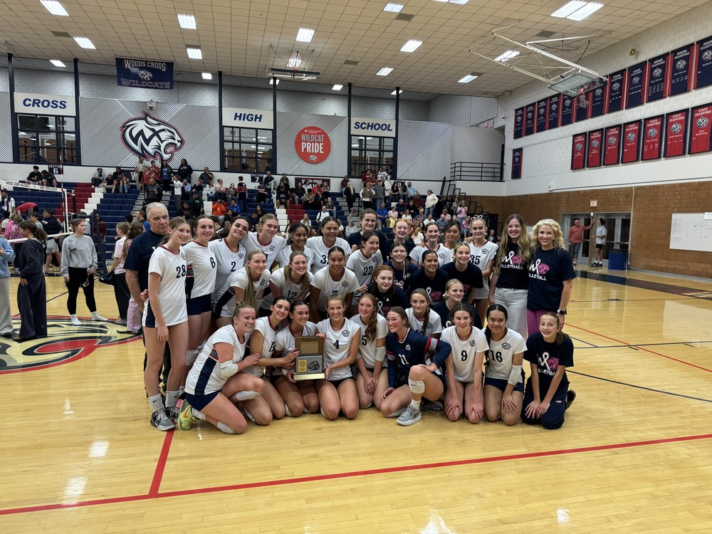 WX Volleyball