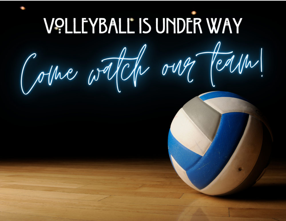 Volleyball come watch our team graphic