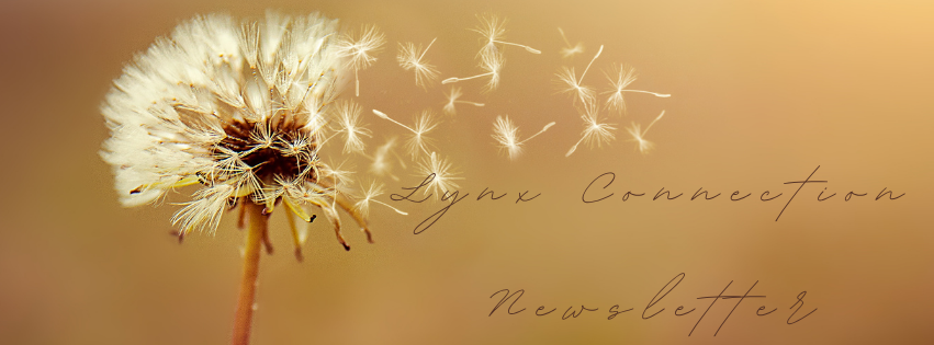 Lynx Connection Newsletter