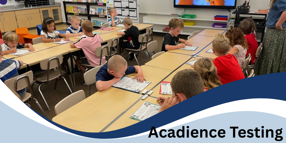 Students reading