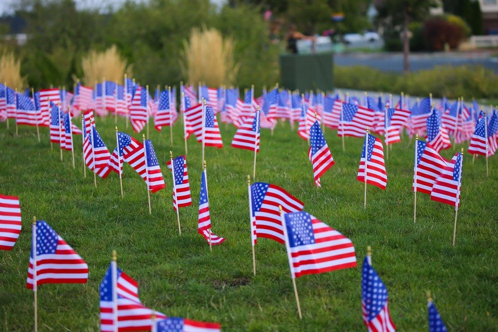 Flags in the grass for patriots day
