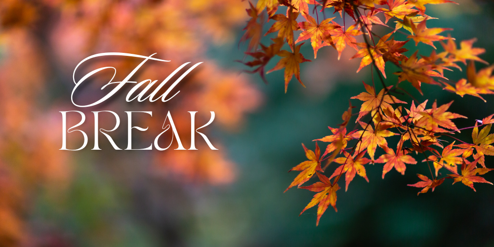 Fall leaves
