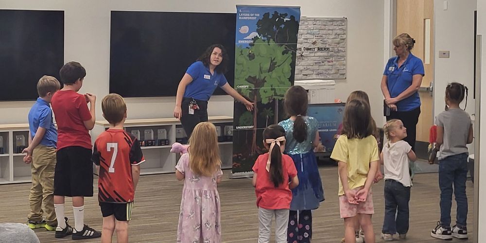Students stand in a semi-circle around a rainforest display showing the forest layers.