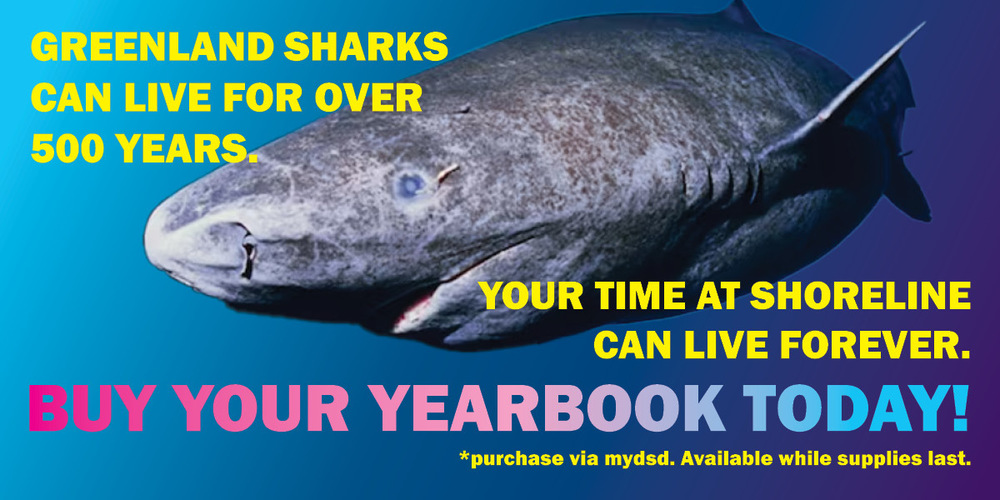 Order Yearbook today