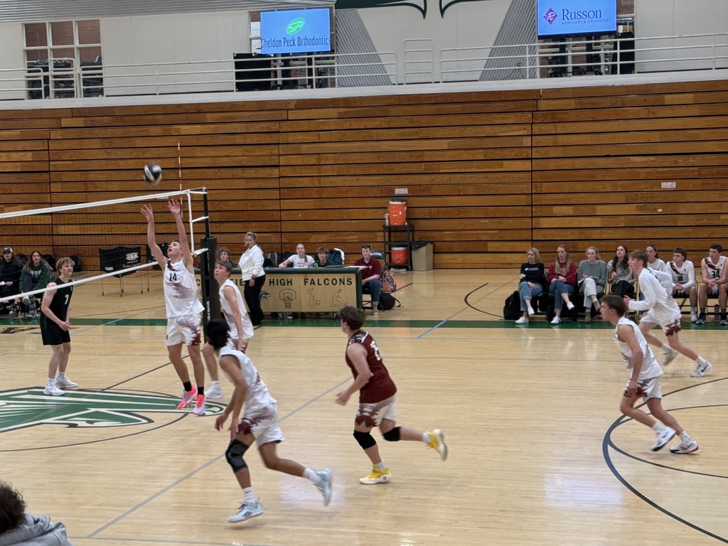 Volleyball